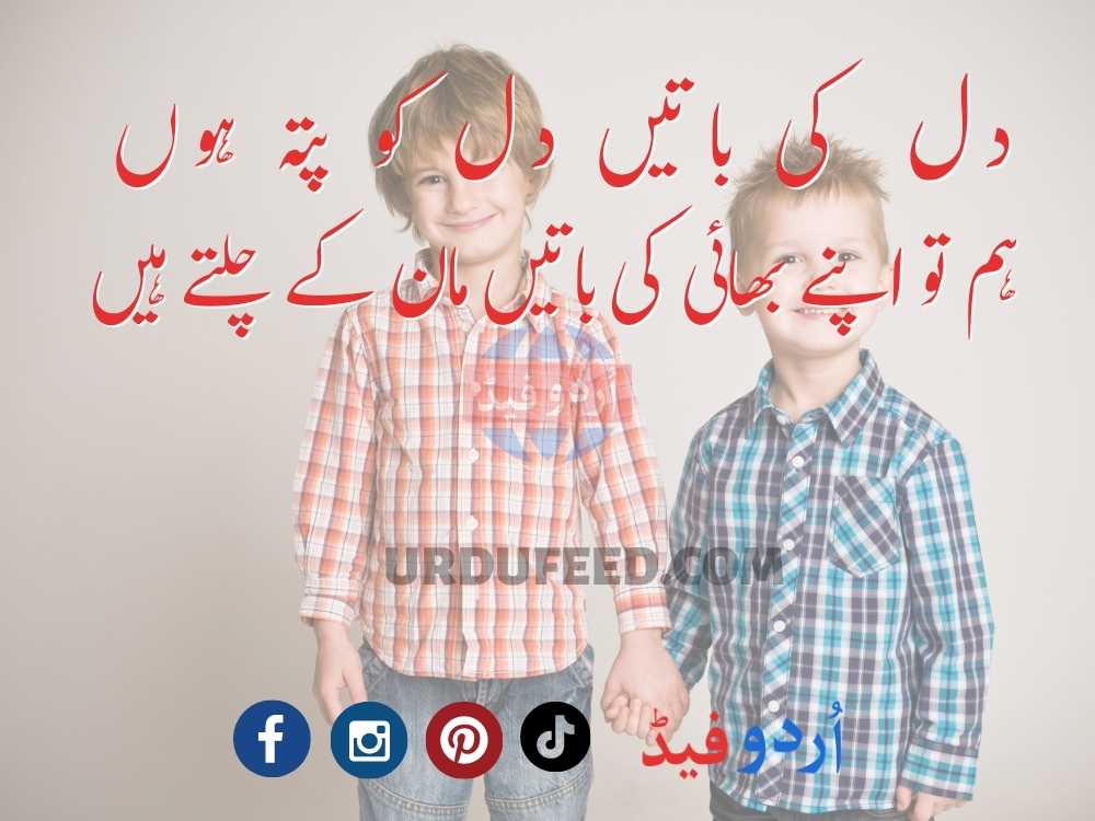 Brother Poetry In Urdu 2 Lines
