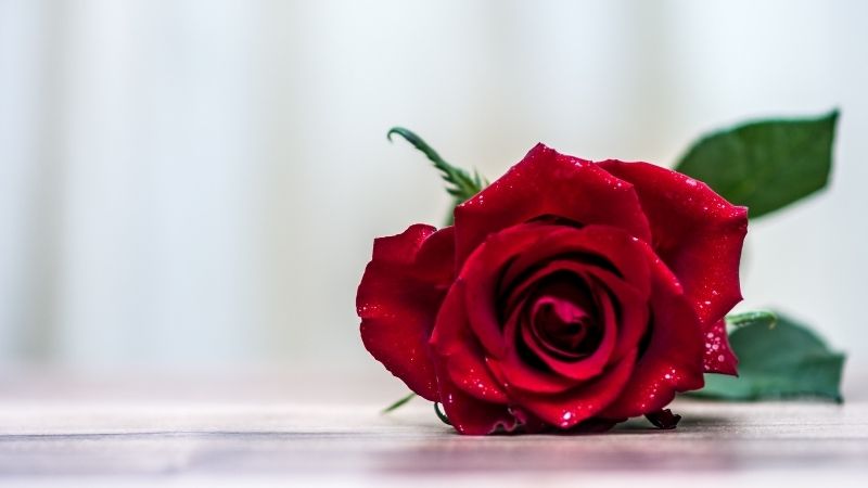 Romantic Poetry In Urdu 2 Lines For Lovers Romantic Poetry In Urdu