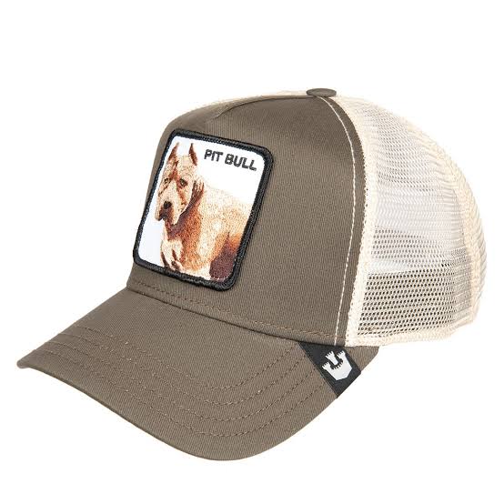 What is Pit Bull caps